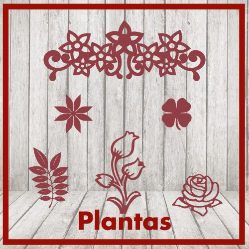 Plantas